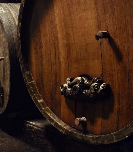 Pourquoi venir déguster les vins d’alsace au domaine Ziegler Fernand à Ribeauvillé ?