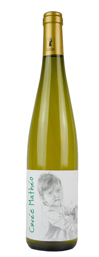 Le Pinot Gris d’Alsace : L’accompagnement idéal pour vos plats hivernaux