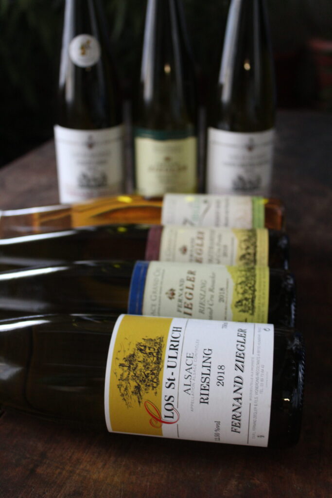 🍇 Vins d’Alsace : les cépages emblématiques expliqués par le Domaine Ziegler Fernand à Hunawihr