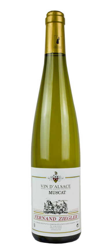 Le Muscat d’Alsace à Riquewihr : fraîcheur et intensité aromatique selon le Domaine Ziegler Fernand