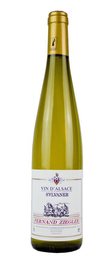 Le Sylvaner d’Alsace à Riquewihr : Fraîcheur et Authenticité selon le Domaine Ziegler Fernand