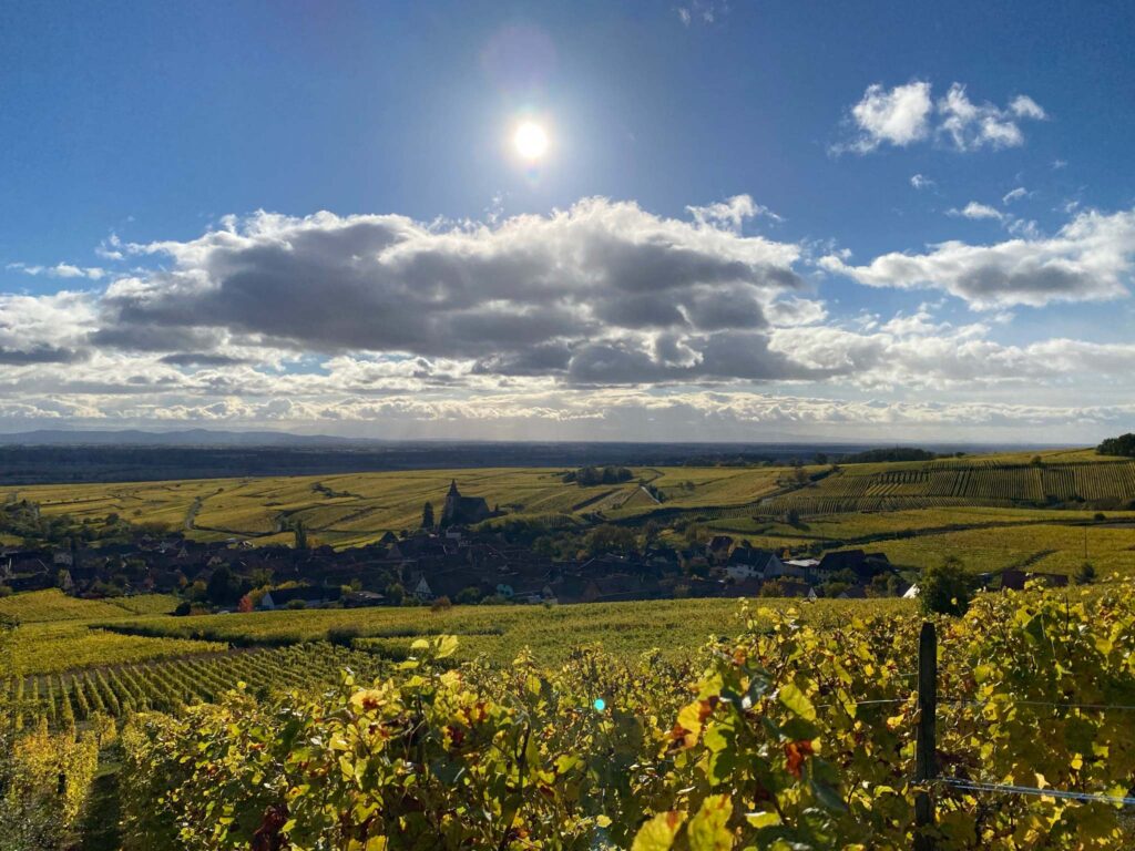 Réserver votre dégustation de Vins d’Alsace au Domaine Ziegler Fernand à Ribeauvillé : comment ça marche ?