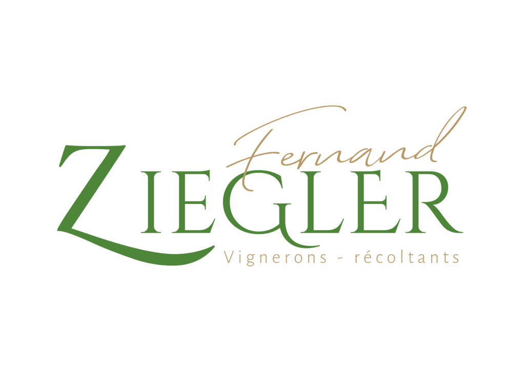🛒 Comment choisir son vin d’Alsace en ligne ? Nos conseils pratiques par le Domaine Ziegler Fernand à Ribeauvillé