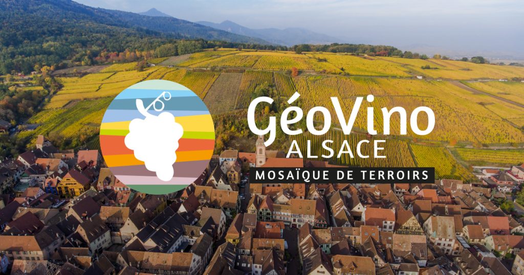 La balade du sentier viticole de Hunawihr : entre vignes, panoramas et Vins d’Alsace au Domaine Ziegler